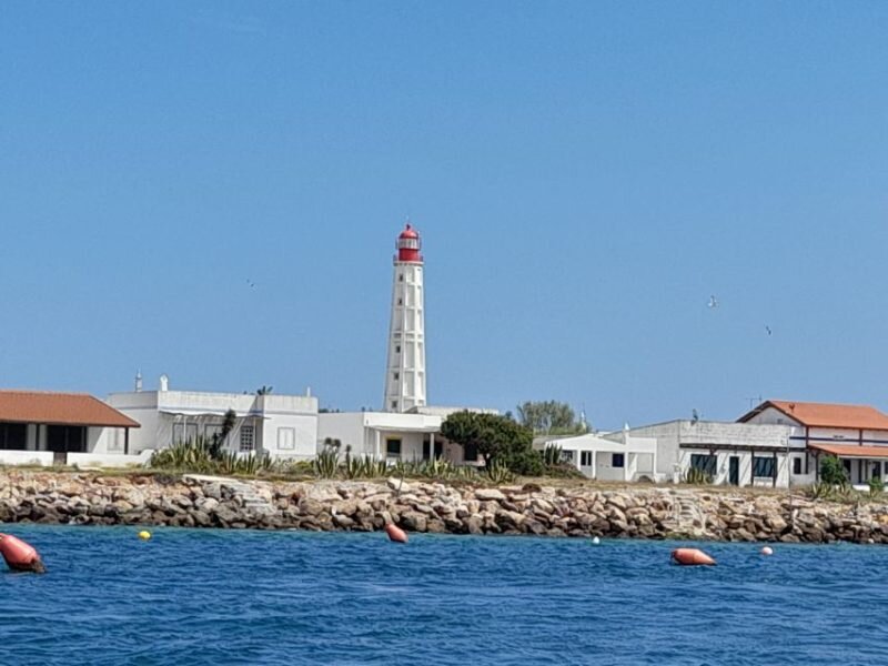 Albufeiradrivers Tour Lighthouse Coastal Buildings Blue Water