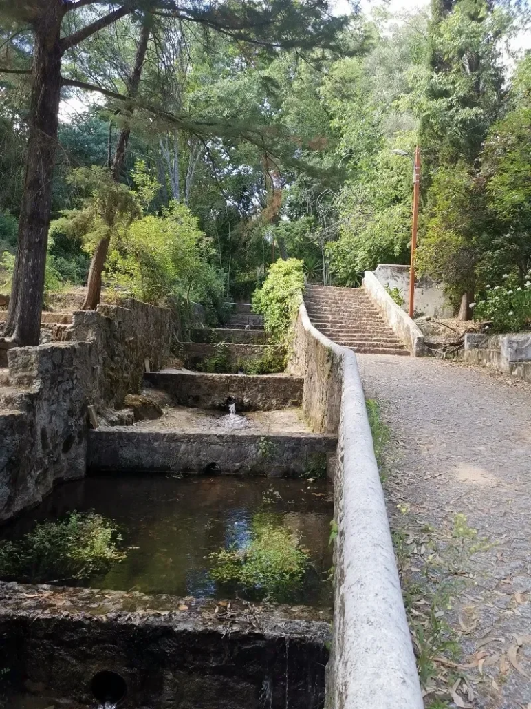 Albufeiradrivers Tour Stone Steps Water Feature Greenery