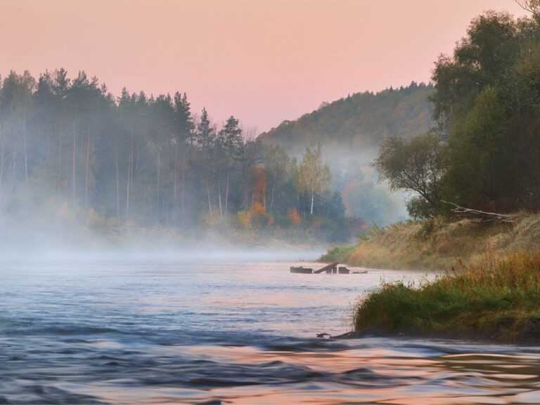 Bicyclerental Tour Misty River Autumn Forest