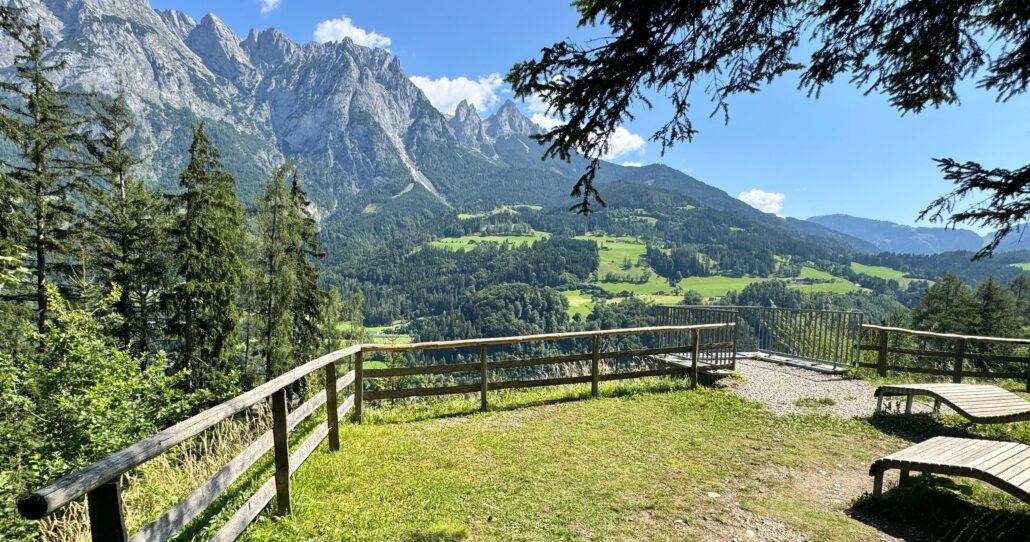 Bobstours Tour Mountains Forest Viewpoint Sunny