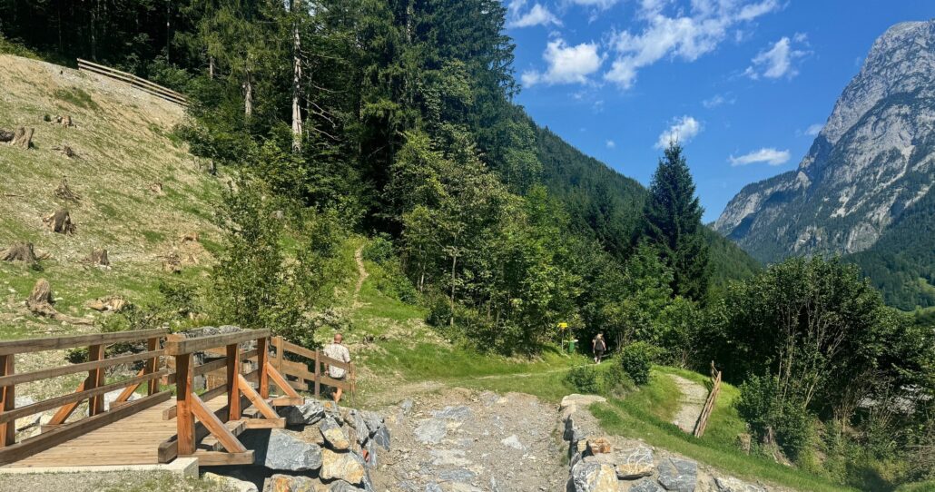Bobstours Tour Wooden Bridge Pathway Mountain Forest