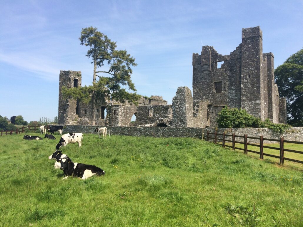 Boynevalleytours Tour Ruins Cows Grassy Field