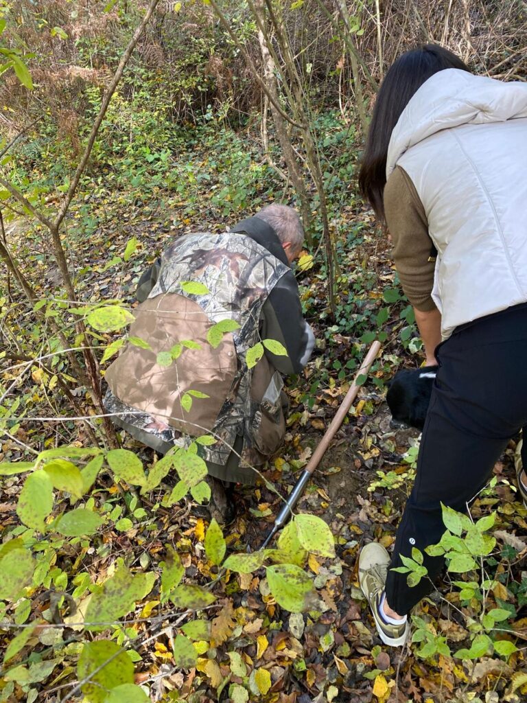 Discoveryguidedtours Tour People Forest Leaves Digging