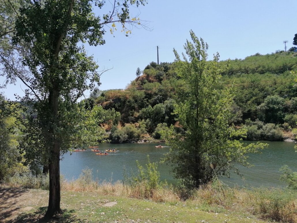 Estreladalva Tour Kayakers River Greenery Summer