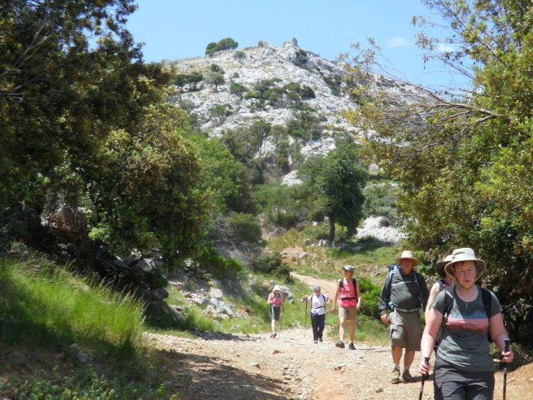 Evia Adventure Tours Tour Hikers Trail Mountain Vegetation