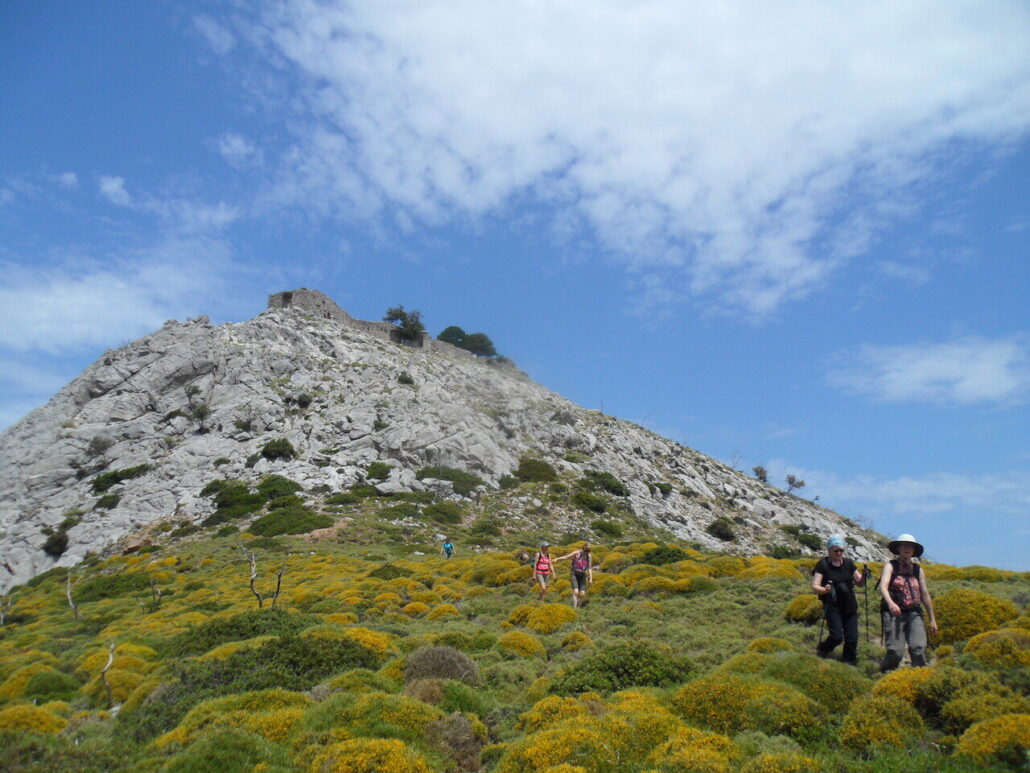 Evia Adventure Tours Tour Hikers Yellow Flowers Mountain
