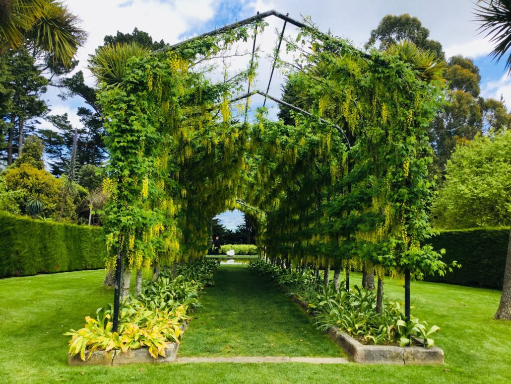Fantailtours Tour Green Archway Yellow Flowers Lush Garden
