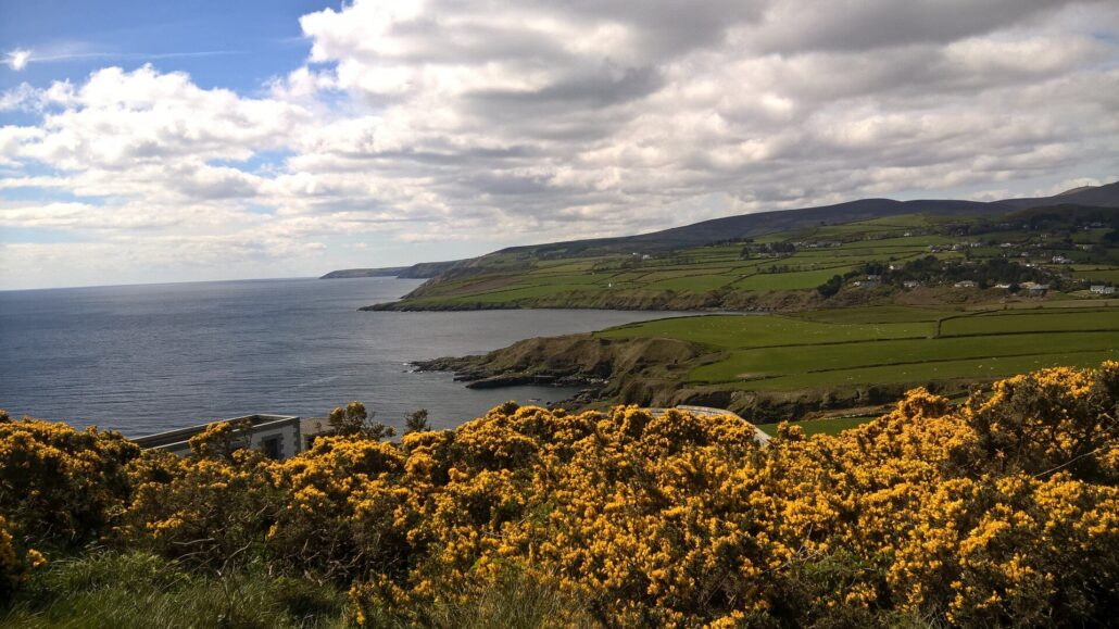 Guidedtoursofmann Tour Coastal View Yellow Flowers Green Fields