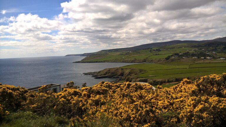 Guidedtoursofmann Tour Coastal View Yellow Flowers Green Fields