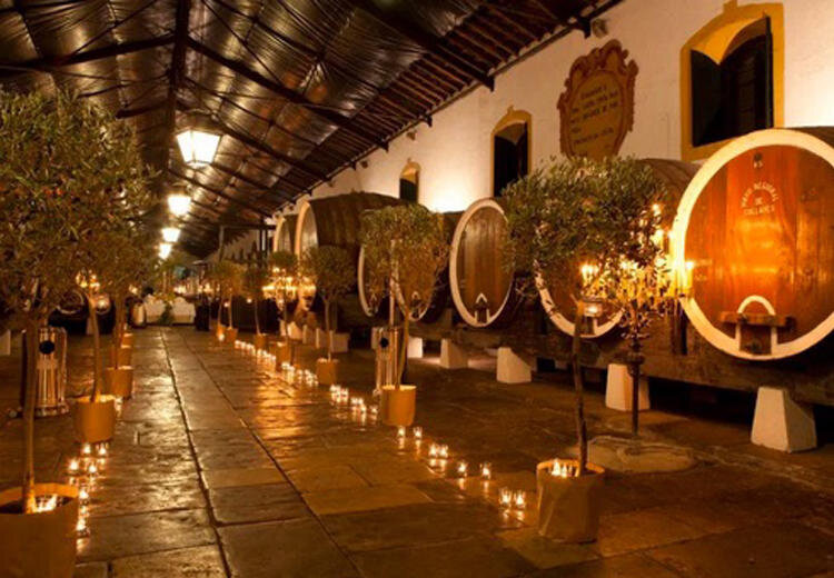 Lisbononwheels Tour Wine Barrels Candlelit Olive Trees