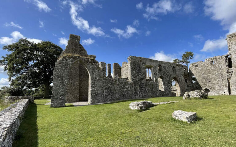 Newgrangedaytours Tour Ruins Stone Archway Grass