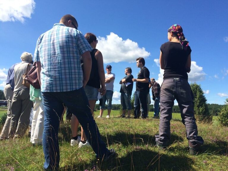 Swedenhistorytours Tour Tour Group Sunny Field