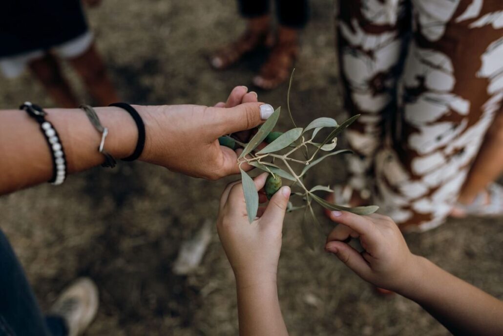 Theoliveroutes Tour Hands Leaves Children Adults