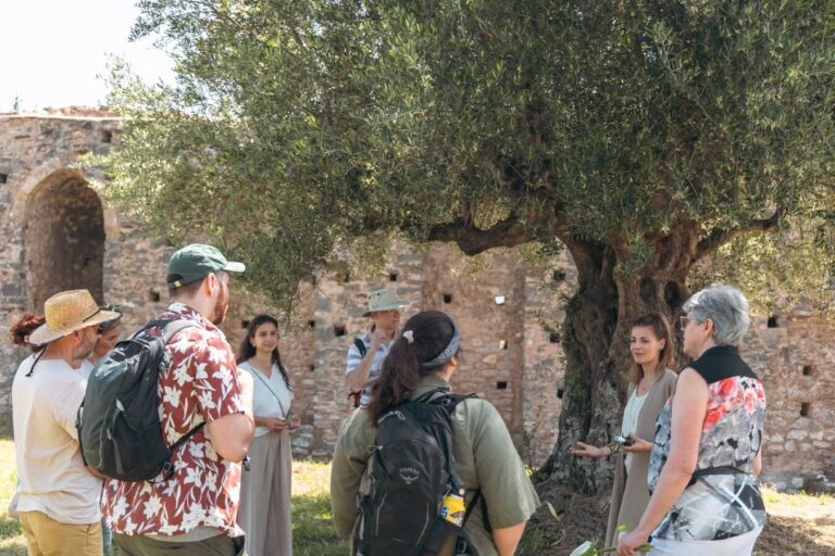 Theoliveroutes Tour Tour Group Olive Tree Ruins
