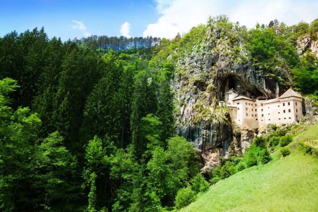 Todoinslovenia Tour Castle Cliff Forest Greenery