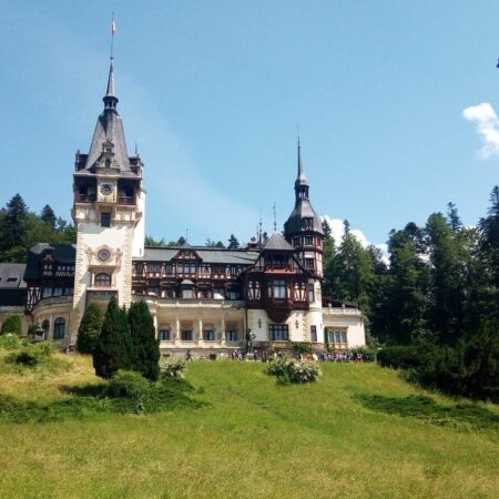 Transprotocol Tour Castle Forest Grass Sky