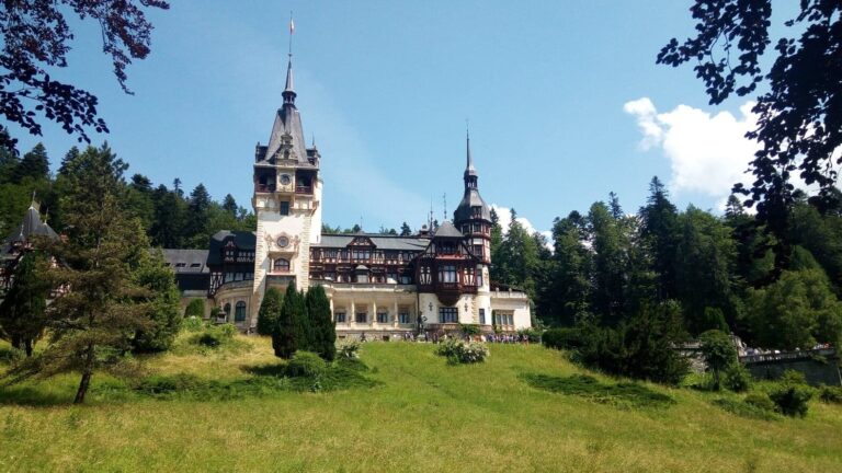 Transprotocol Tour Castle Forest Grass Sky