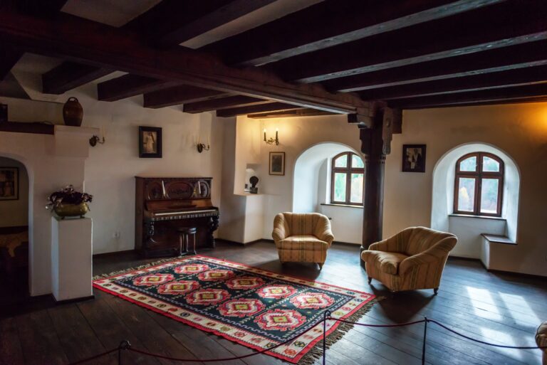 Transprotocol Tour Interior Room Piano Rug