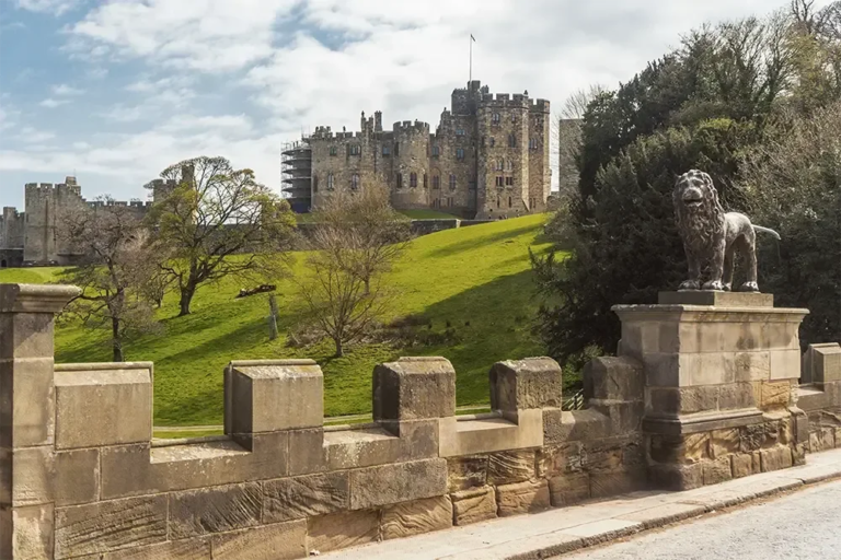 Triporganiser Tour Castle Lion Statue Green Hill 