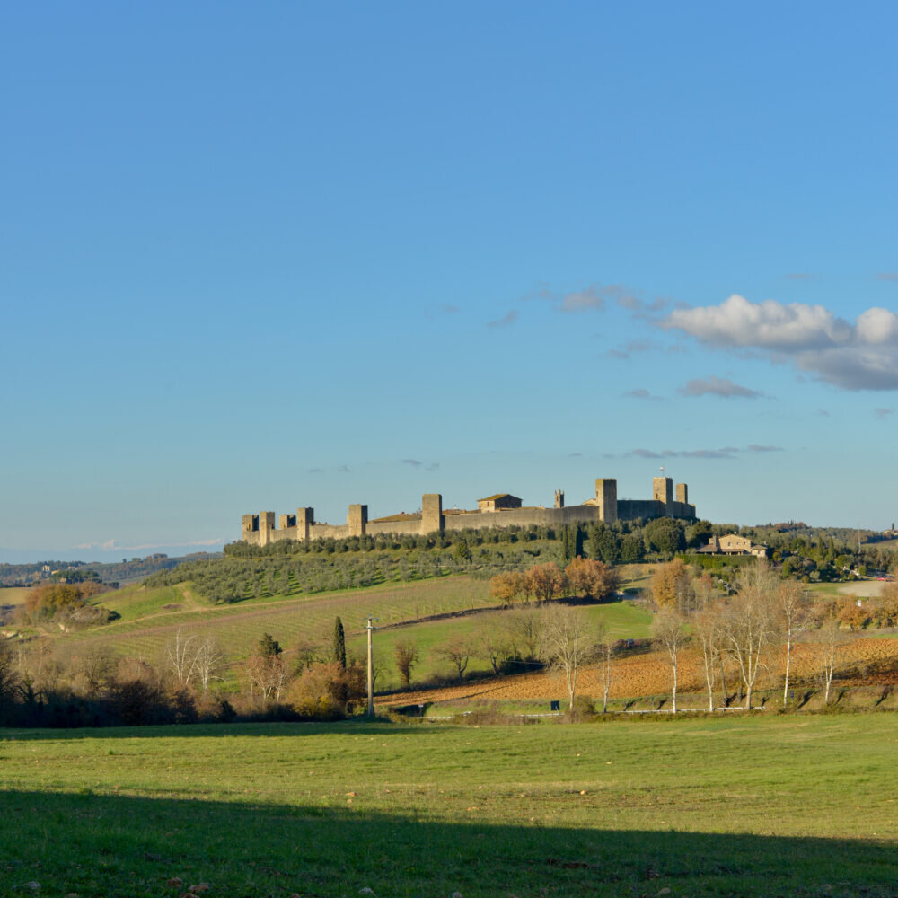 Tuscanyexplore Tour Medieval Castle Hillside Olive Trees