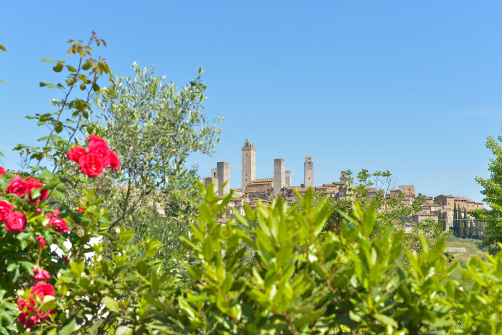 Tuscanyexplore Tour Towers Flowers Blue Sky
