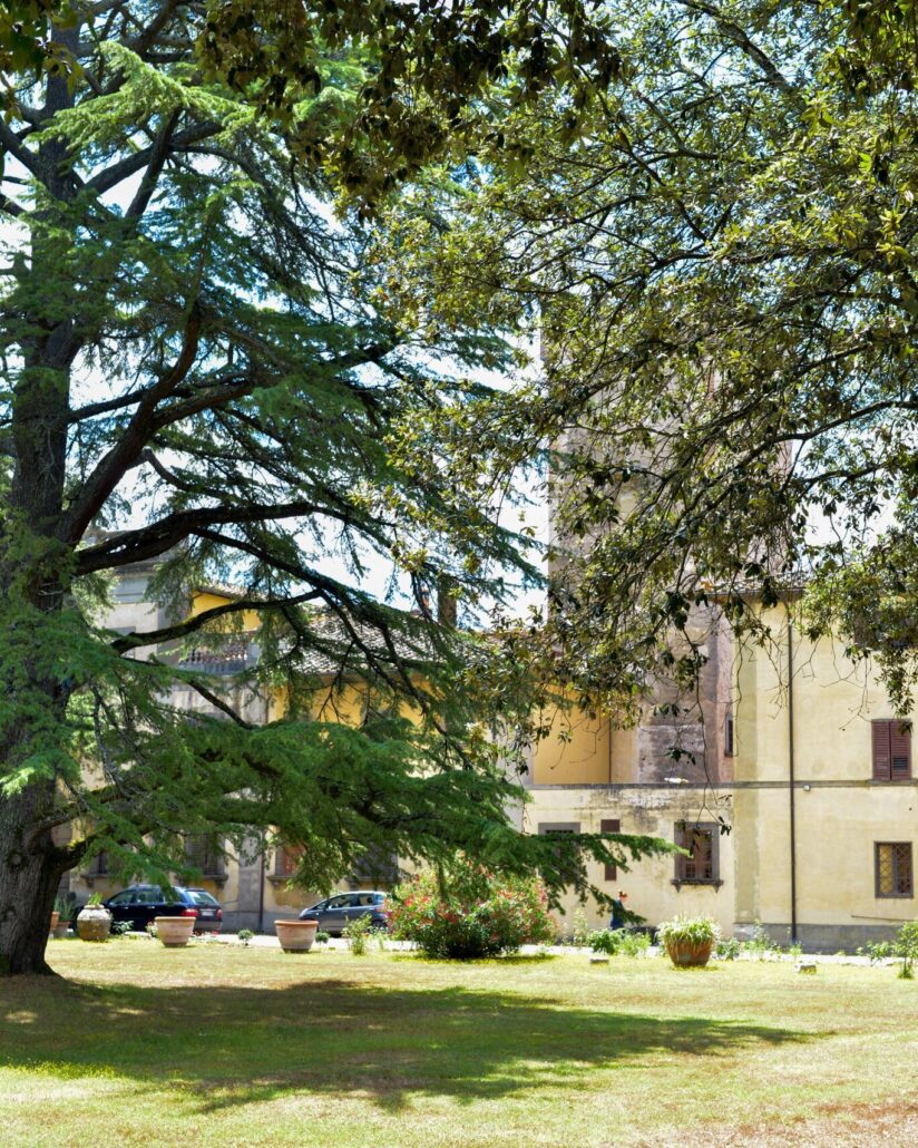 Tuscanyexplore Tour Trees Building Flowerpots Grass